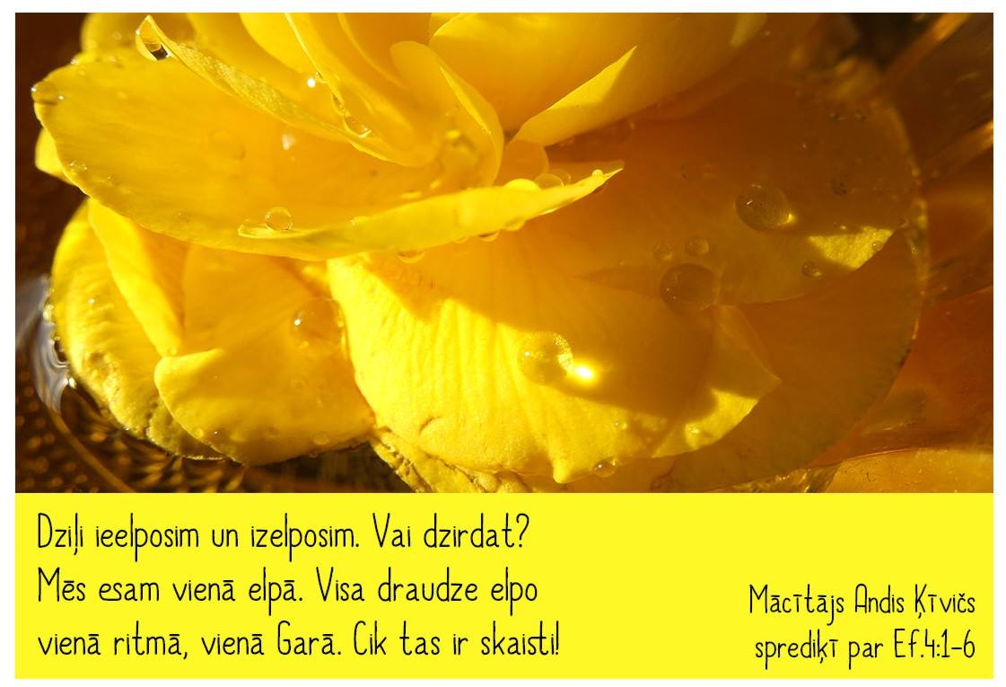 2018.09.16-spredikis (6)