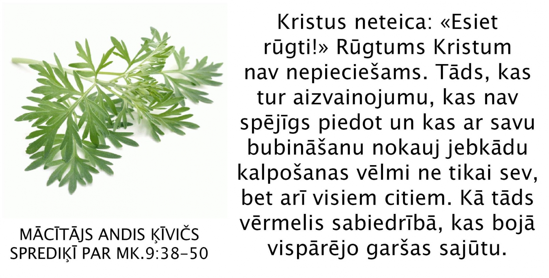2018.09.30-spredikis-andis (3)